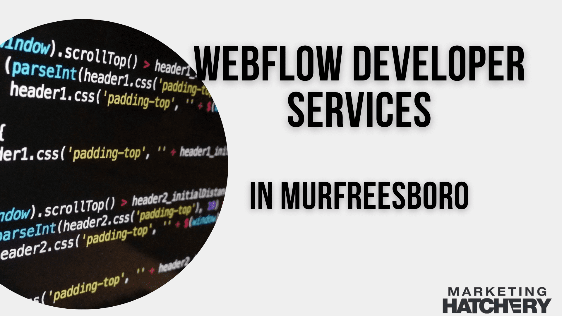 Webflow Developer Services in Murfreesboro