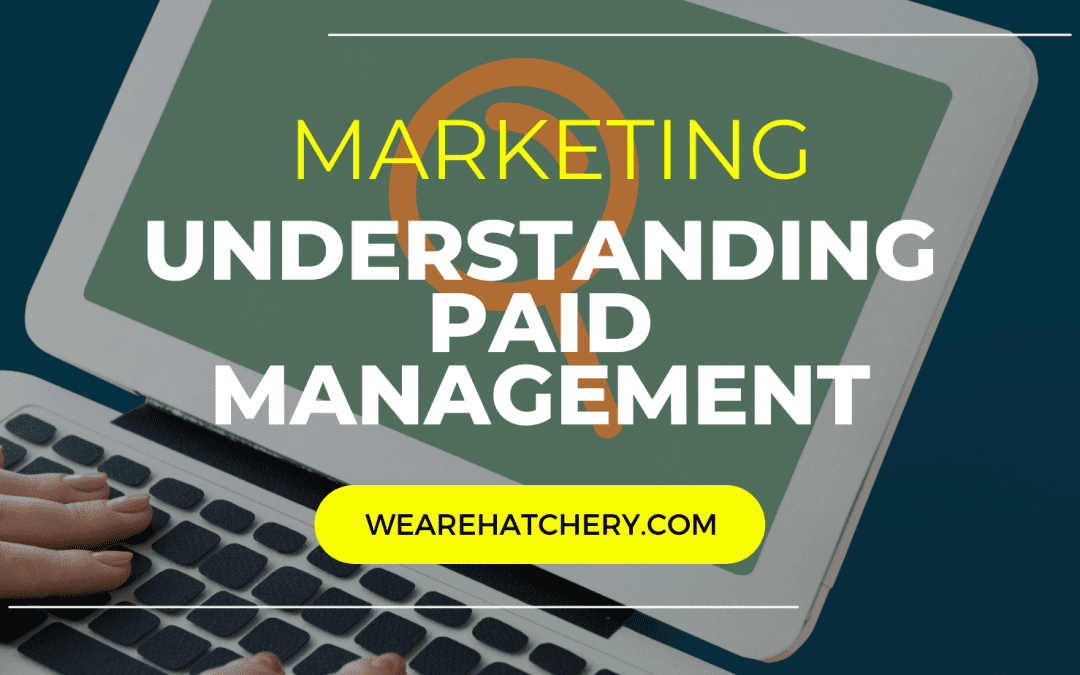 Mastering Paid Search Management: Strategies To Improve Performance