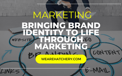 From Vision to Reality: Bringing Brand Identity to Life Through Marketing with Marketing Hatchery