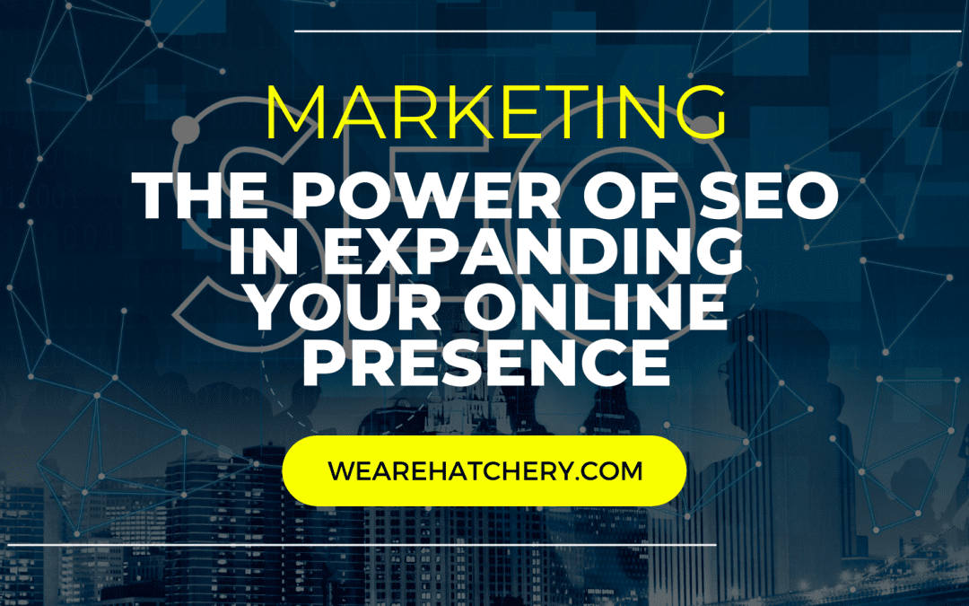 Organic Growth Unleashed: The Power of SEO in Expanding Your Online Presence with Marketing Hatchery