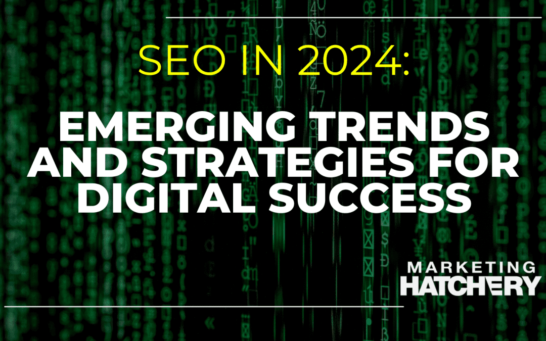 SEO in 2024: Navigating the Evolving Digital Landscape