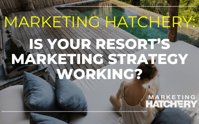 How a Marketing Consultant Can Elevate Your Resort’s Brand