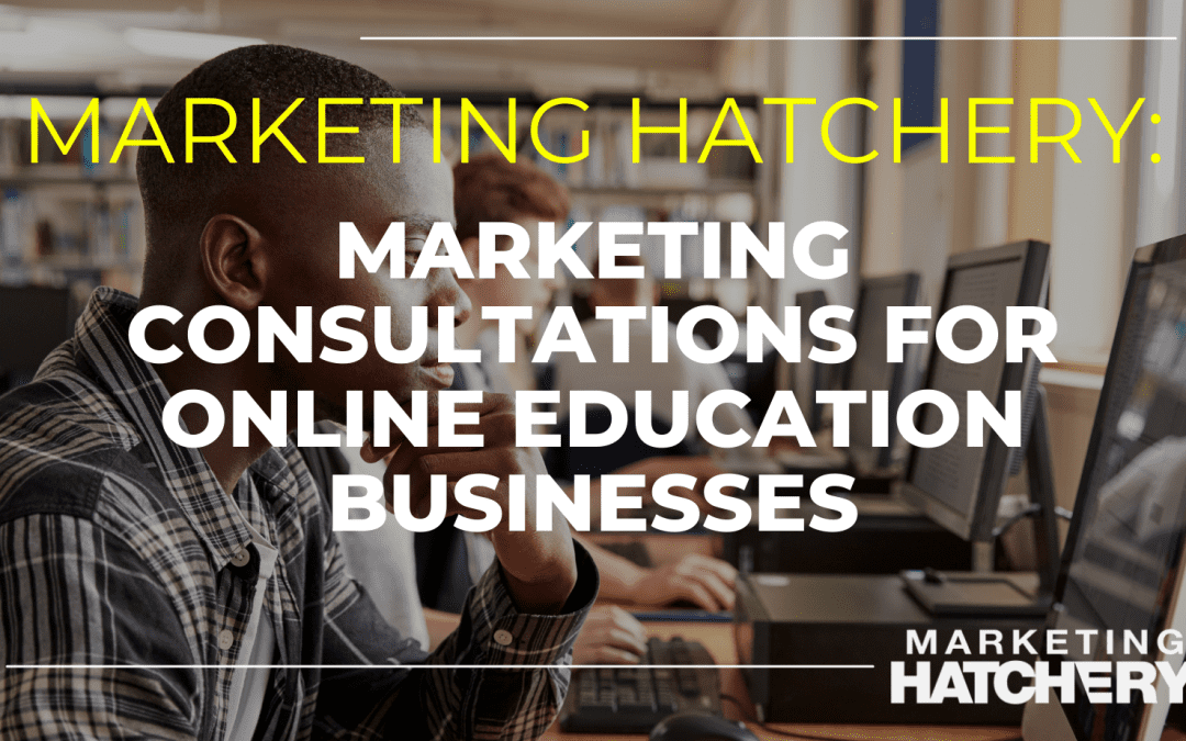 Marketing Consultations for Online Education Businesses